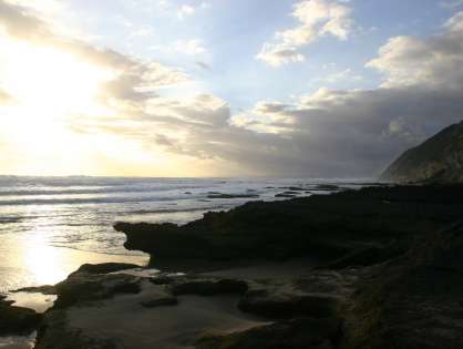 Driftwoodrhythms in South Africa